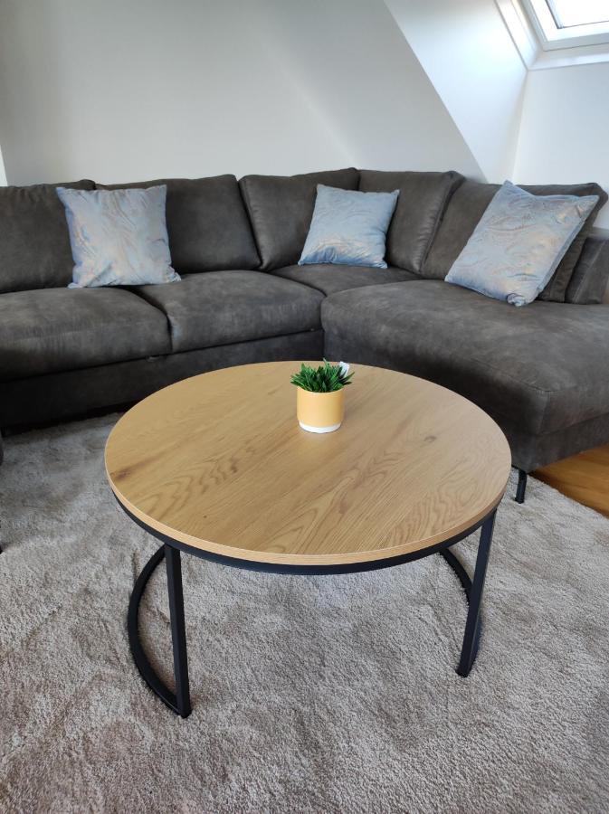 Luxurioeses Penthouse Mit Blick Auf Die Uno-City Und Dem Kaiserwasser. 3Schlafzimmer, 2 Baeder, Privat Lift Ins Apartment Viena Exterior foto