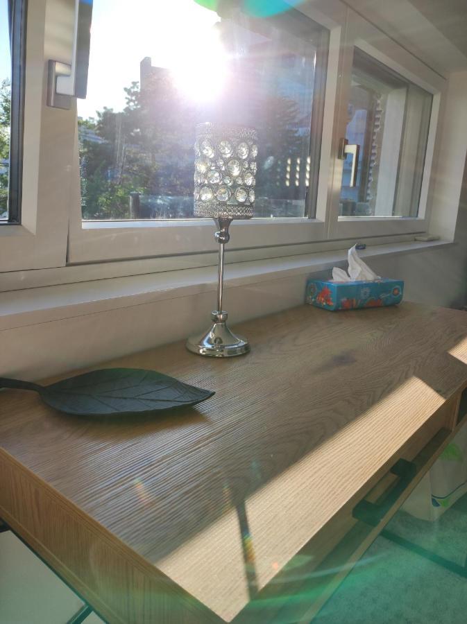 Luxurioeses Penthouse Mit Blick Auf Die Uno-City Und Dem Kaiserwasser. 3Schlafzimmer, 2 Baeder, Privat Lift Ins Apartment Viena Exterior foto