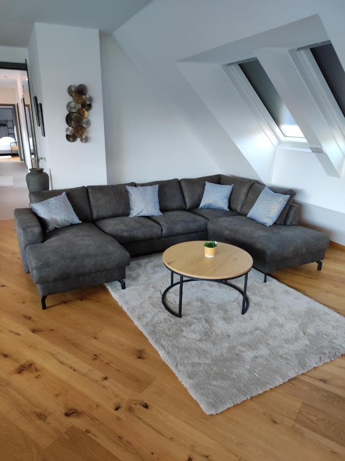 Luxurioeses Penthouse Mit Blick Auf Die Uno-City Und Dem Kaiserwasser. 3Schlafzimmer, 2 Baeder, Privat Lift Ins Apartment Viena Exterior foto